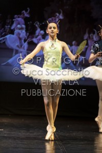 2022-SAGGIO-AUDITORIUM-860