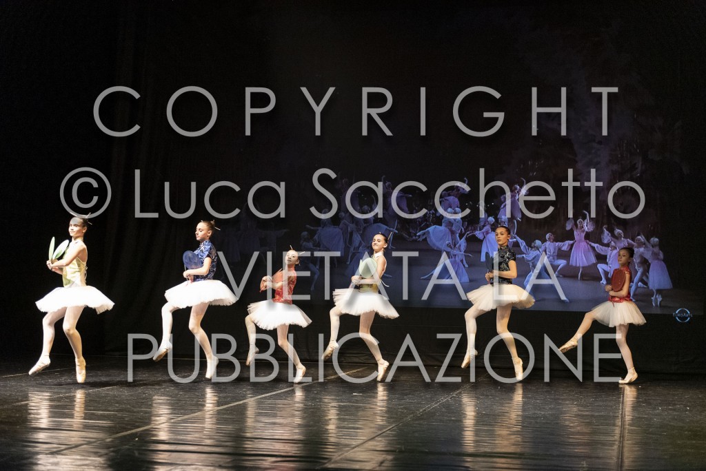 2022-SAGGIO-AUDITORIUM-867