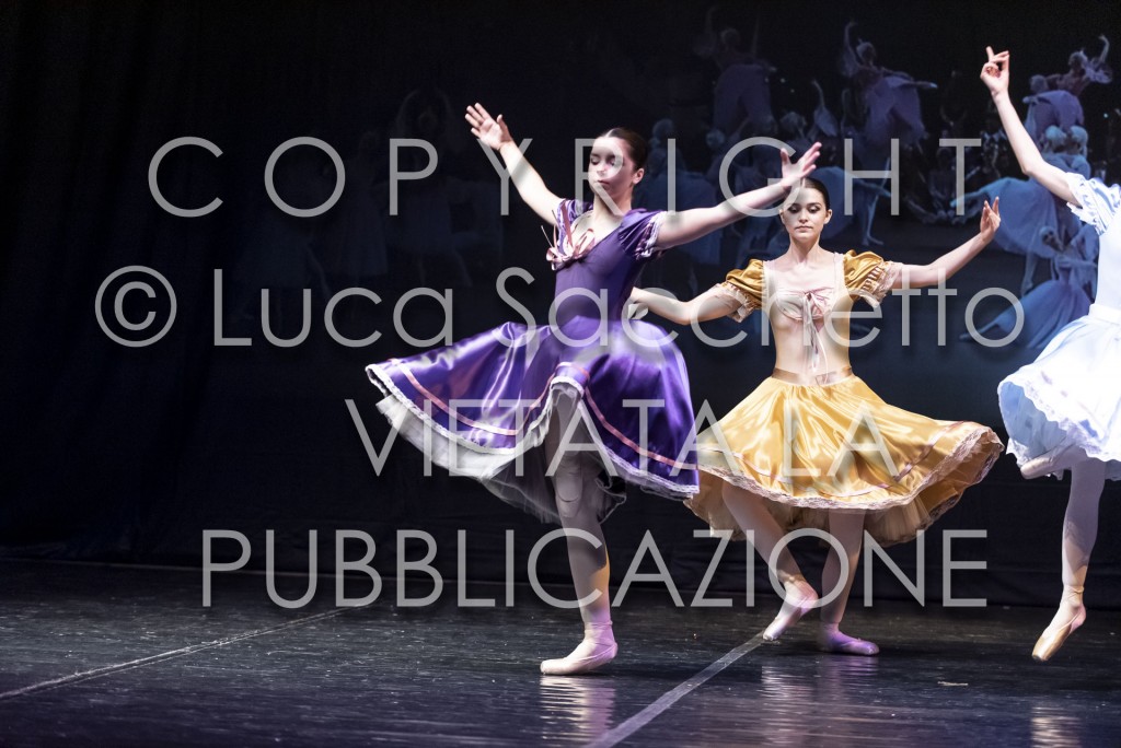 2022-SAGGIO-AUDITORIUM-877