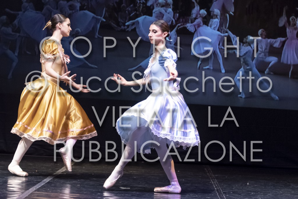 2022-SAGGIO-AUDITORIUM-878