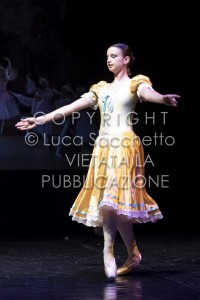 2022-SAGGIO-AUDITORIUM-879