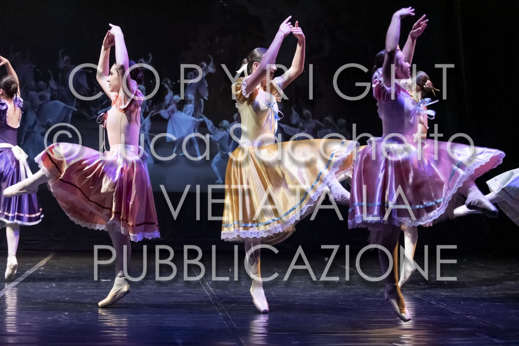 2022-SAGGIO-AUDITORIUM-896