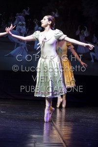 2022-SAGGIO-AUDITORIUM-902