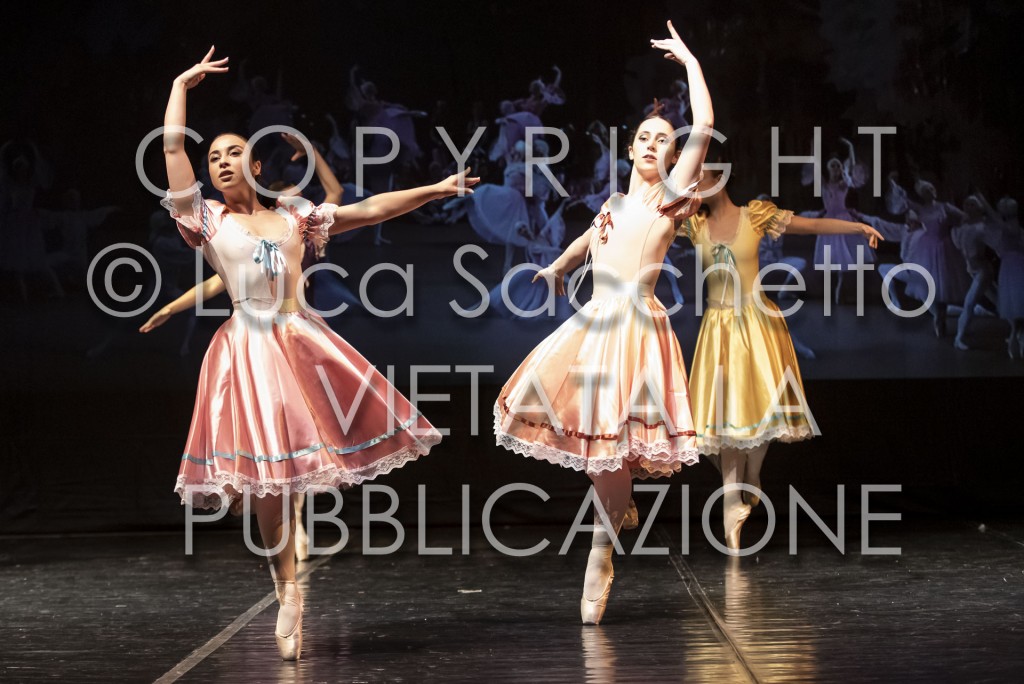 2022-SAGGIO-AUDITORIUM-907