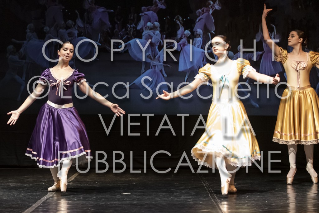 2022-SAGGIO-AUDITORIUM-909