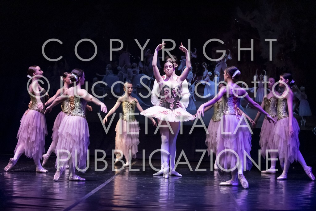 2022-SAGGIO-AUDITORIUM-927