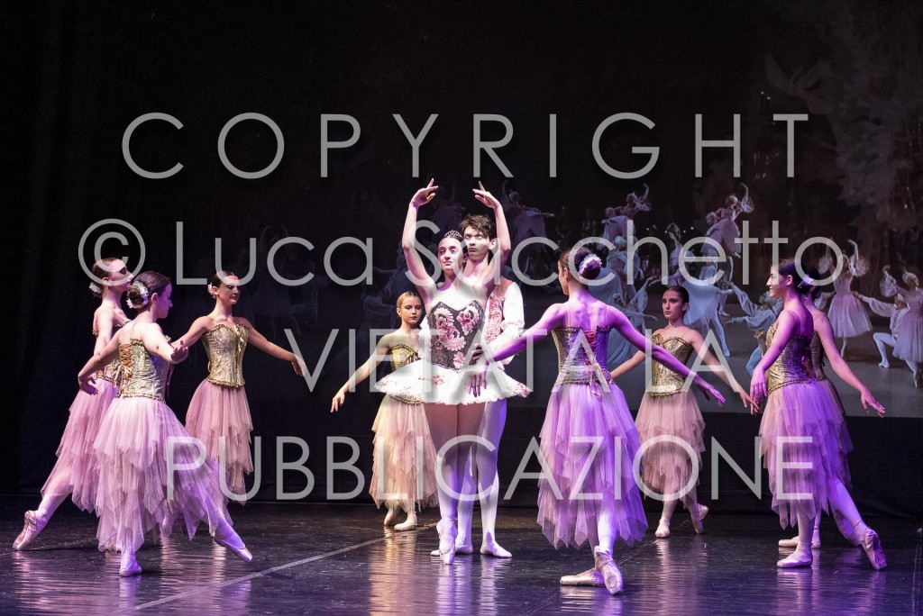 2022-SAGGIO-AUDITORIUM-928