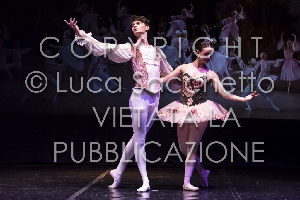 2022-SAGGIO-AUDITORIUM-934