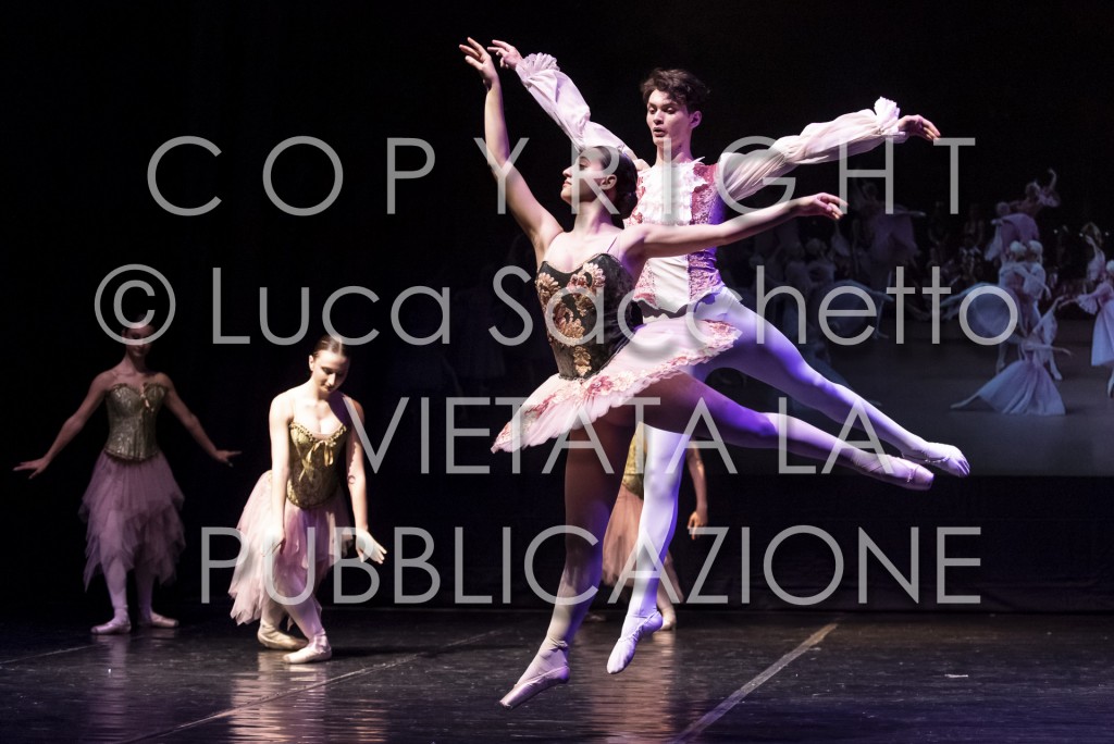 2022-SAGGIO-AUDITORIUM-935