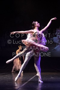 2022-SAGGIO-AUDITORIUM-936