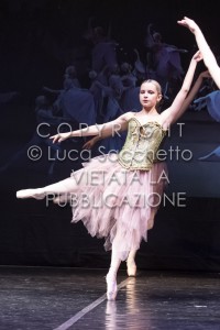 2022-SAGGIO-AUDITORIUM-940