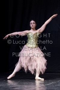 2022-SAGGIO-AUDITORIUM-941