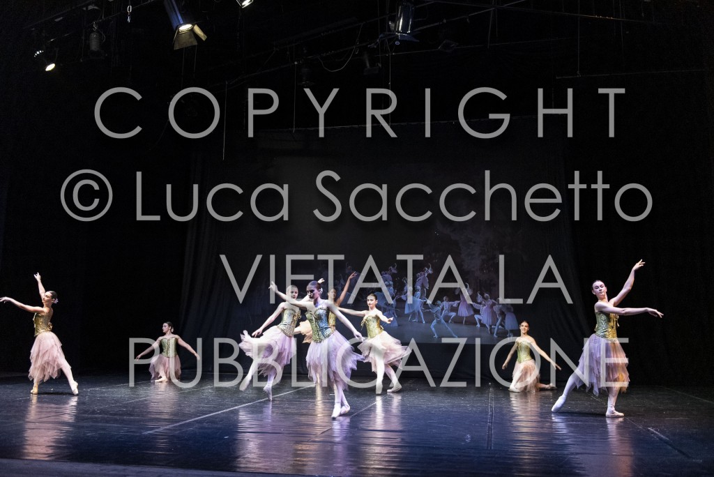2022-SAGGIO-AUDITORIUM-942