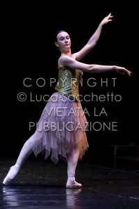 2022-SAGGIO-AUDITORIUM-944