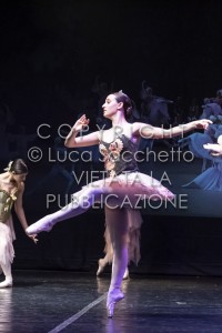 2022-SAGGIO-AUDITORIUM-947