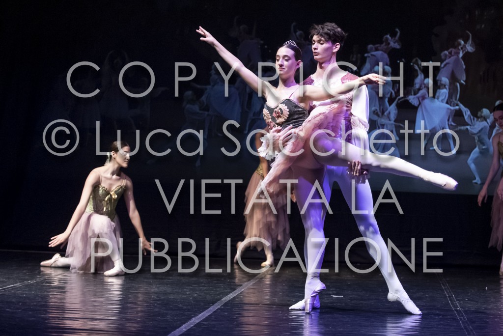 2022-SAGGIO-AUDITORIUM-948