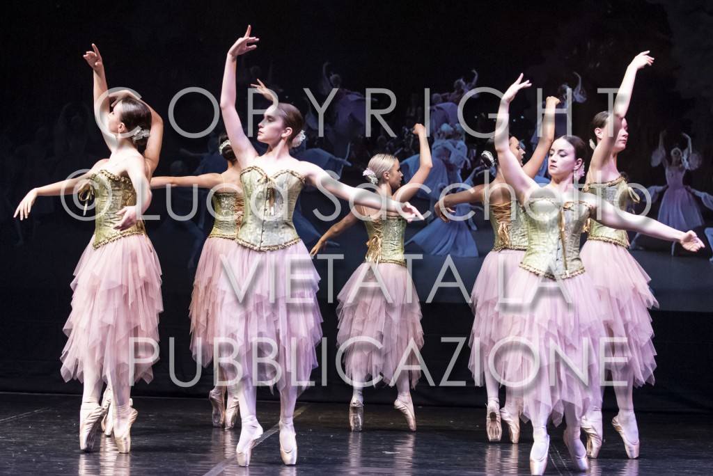 2022-SAGGIO-AUDITORIUM-952