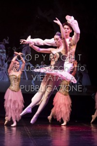 2022-SAGGIO-AUDITORIUM-958