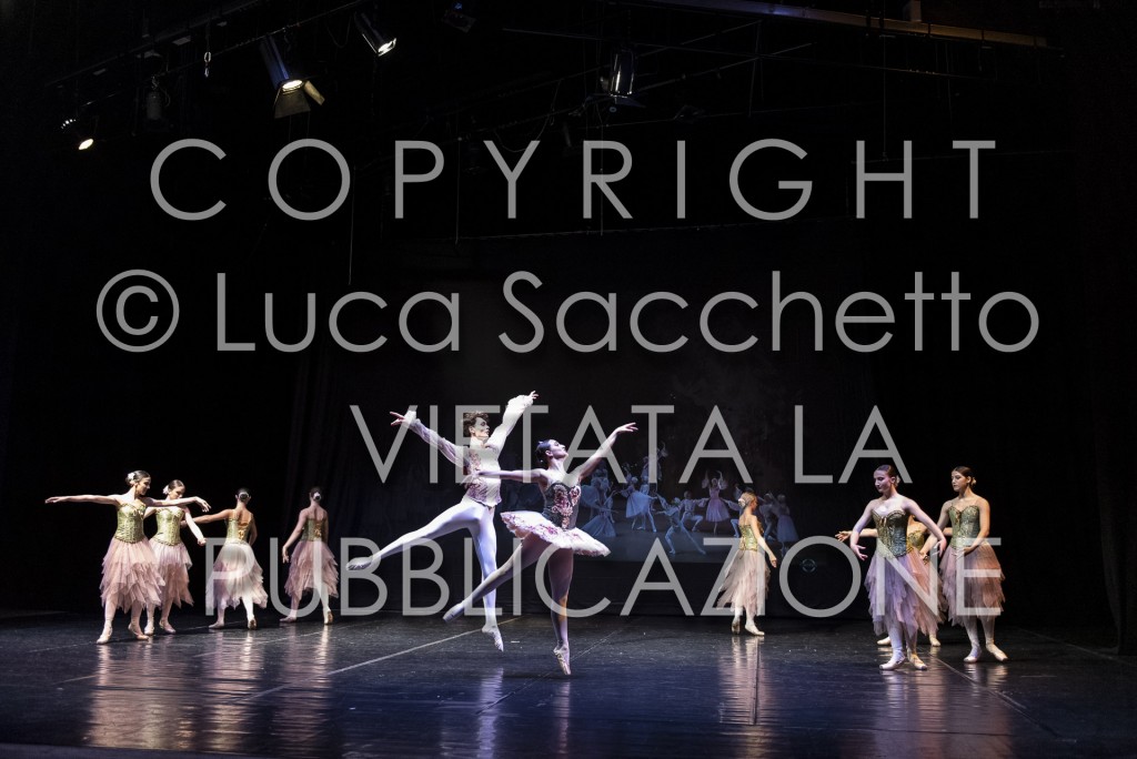 2022-SAGGIO-AUDITORIUM-961