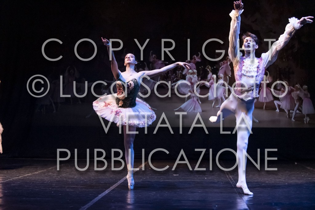 2022-SAGGIO-AUDITORIUM-965