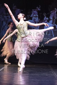 2022-SAGGIO-AUDITORIUM-973