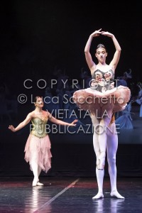 2022-SAGGIO-AUDITORIUM-976