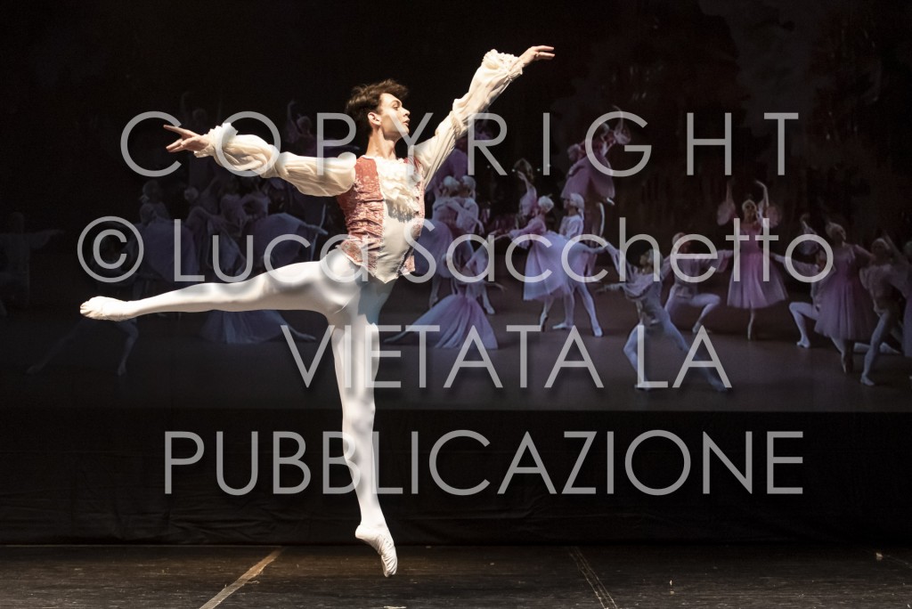2022-SAGGIO-AUDITORIUM-982