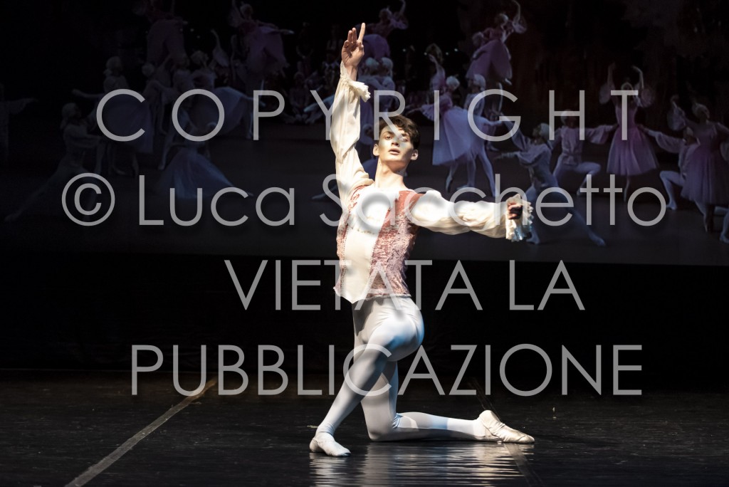 2022-SAGGIO-AUDITORIUM-983