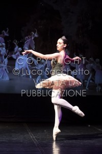 2022-SAGGIO-AUDITORIUM-985