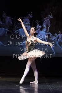 2022-SAGGIO-AUDITORIUM-986