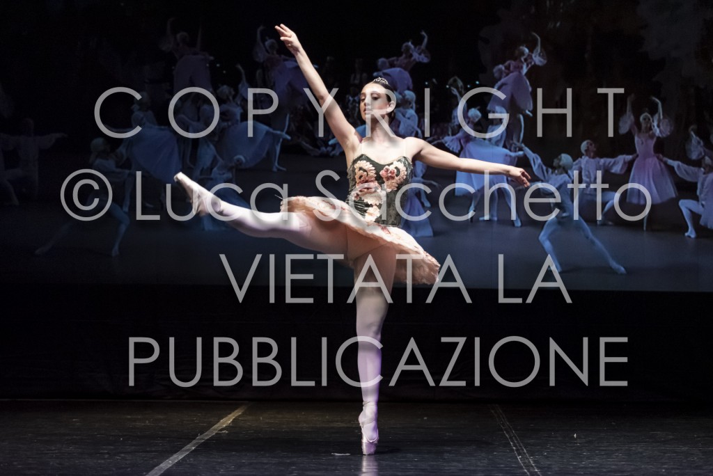 2022-SAGGIO-AUDITORIUM-987