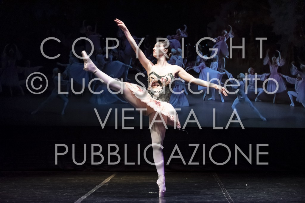 2022-SAGGIO-AUDITORIUM-988