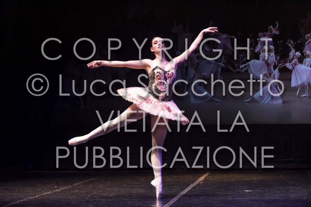 2022-SAGGIO-AUDITORIUM-989