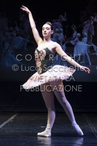 2022-SAGGIO-AUDITORIUM-990
