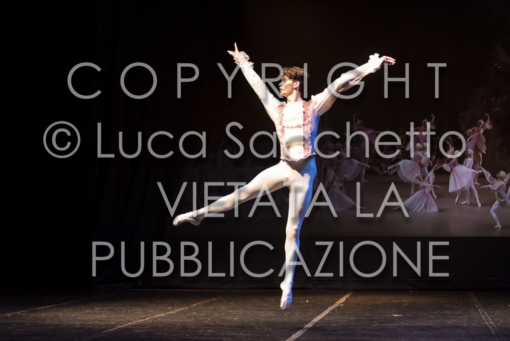 2022-SAGGIO-AUDITORIUM-994