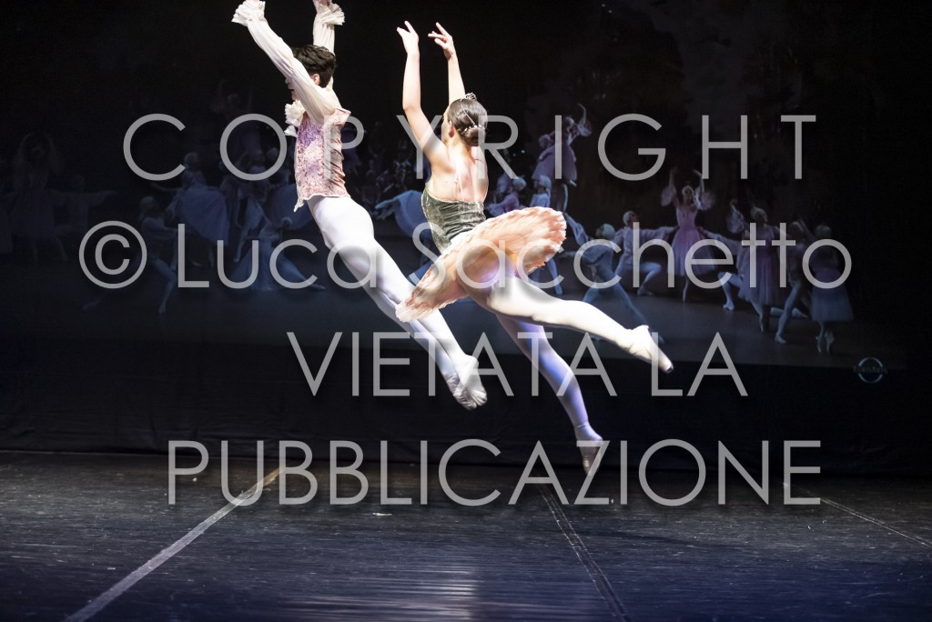 2022-SAGGIO-AUDITORIUM-997